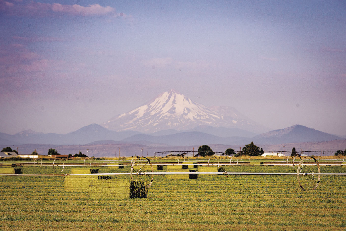Cody Dodson - Baling Hay